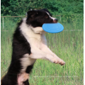 Hund Interactive Outdoors Spielzeugflugscheibe